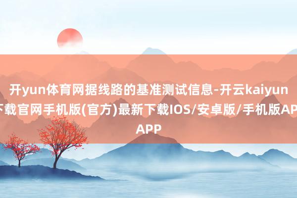 开yun体育网据线路的基准测试信息-开云kaiyun下载官网手机版(官方)最新下载IOS/安卓版/手机版APP