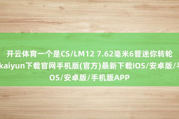 开云体育一个是CS/LM12 7.62毫米6管迷你转轮机枪-开云kaiyun下载官网手机版(官方)最新下载IOS/安卓版/手机版APP